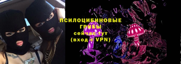 сатива Богданович