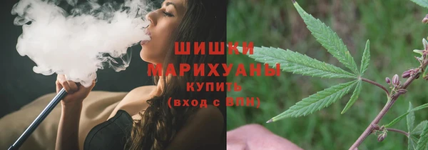 кокс Богородицк