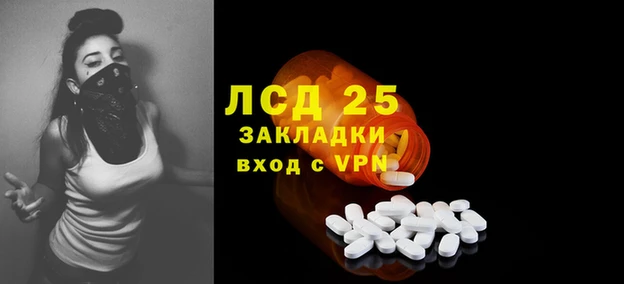 хмурый Белокуриха