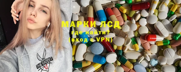 сатива Богданович